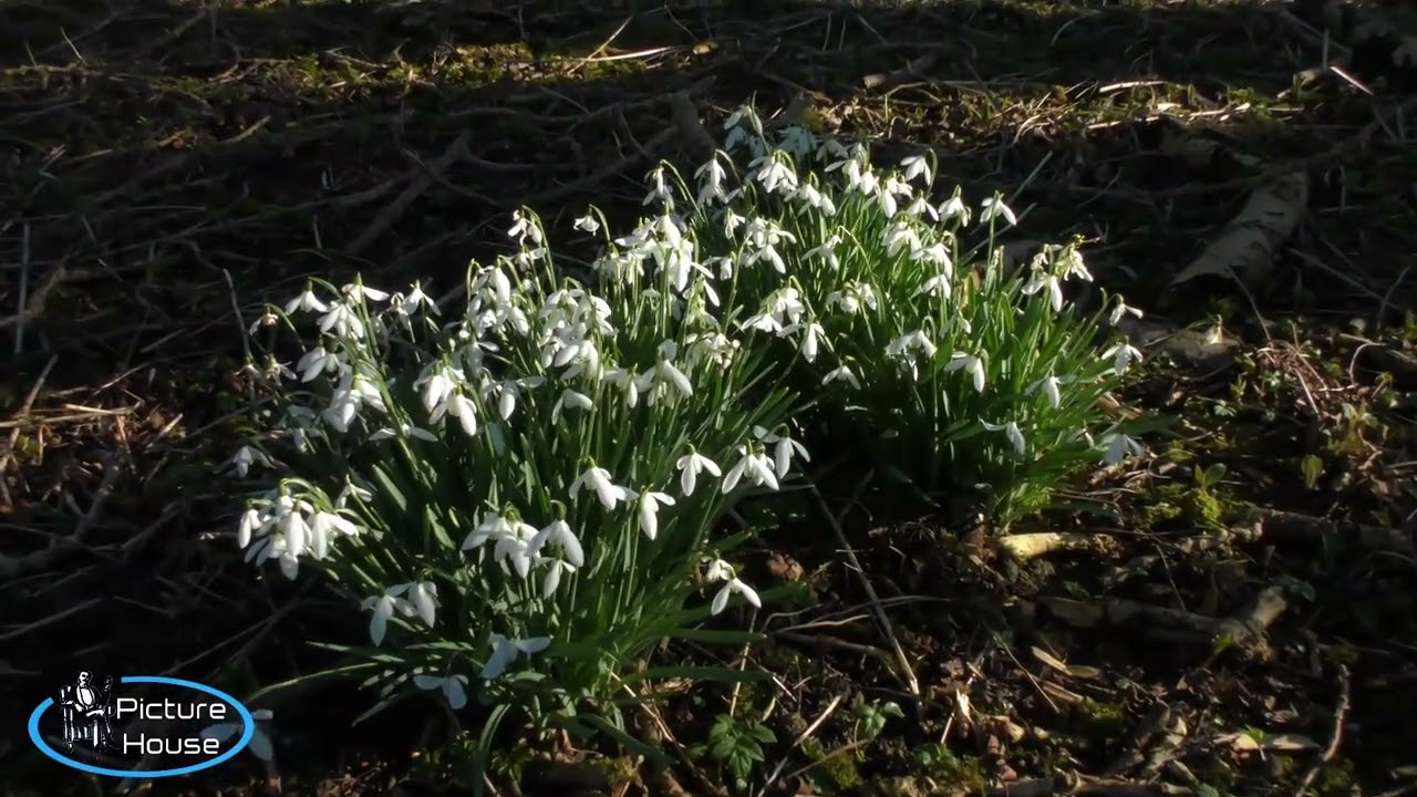 Castletown & Dunnet Bay (28th Feb 2026)
