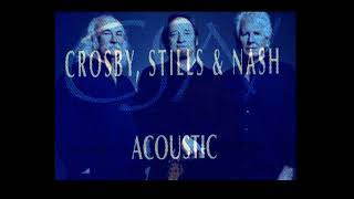 Crosby, Stills and Nash Live -  Michigan 1992