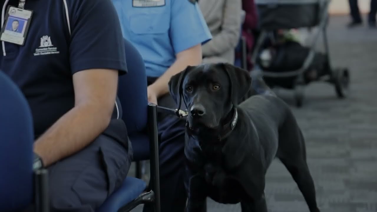 Drug Detection Unit Graduation
