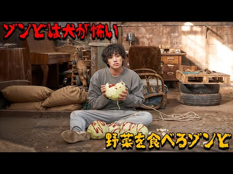 同じゾンビなのに、このゾンビはちょっと変なんです。【映画紹介】