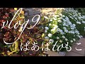 【暮らしvlog】愛犬と優しく暮らす009/りんごと関門海峡と玉ねぎ天