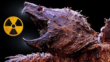 The REAL Most Dangerous Turtles In The World