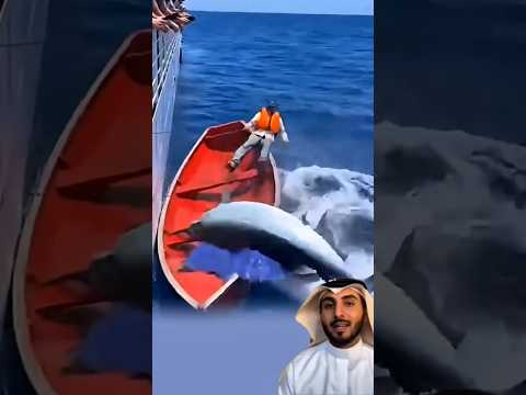 كاد الهجوم أن ي سقطني لكن لطف الله رفعني سالم ا لايك ابلور 