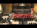 Ensemble Vocal Vivace - You Raise Me Up