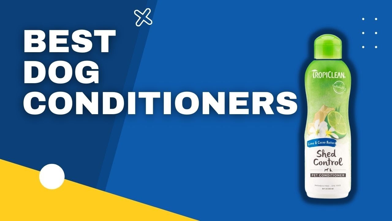 Top 3 Best Dog Conditioners in 2023