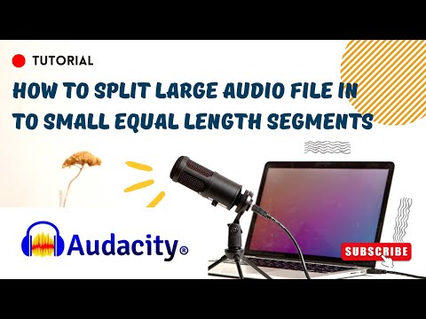 How to Split Large Audio Files into Equal Segments in Audacity | Easy Tutorial