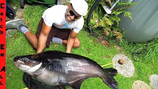 DRAINING the GIANT PET FISH POND! **Measuring all my Massive Fish**