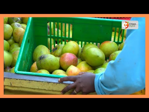 Gharama Ya Kilimo Makueni