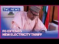 FG Extends Suspension Of New Electricity Tariff