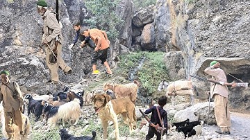 Autumn migration of real nomads | Breathtaking journey in the pristine and wild nature of Zagros