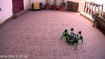 Hexapod robot motion