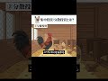 集中投資/分散投資とは? ラップで解説