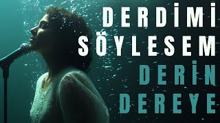 Derdimi Söylesem Derin Dereye | Aşık Veysel (Trip Hop Downtempo Turkish Anatolia Music)