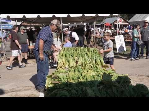 Whether 'stringing' or 'looping,' tobacco is tie that binds many North Carolina farm families