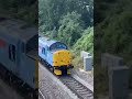 Class 37501 at pouts overbridge 25/07/25