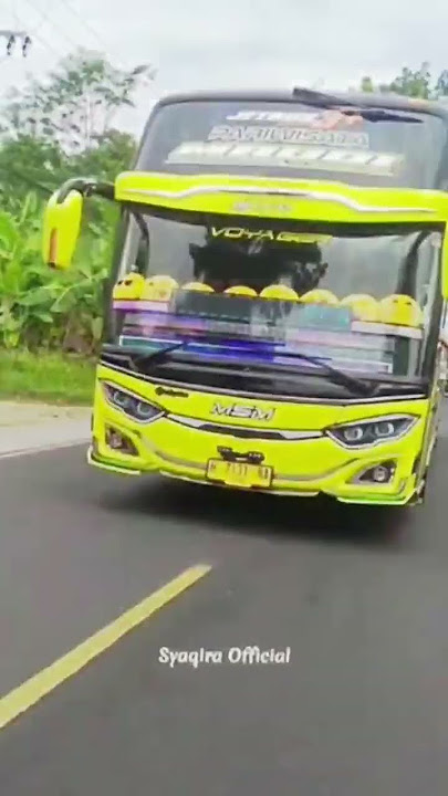 Download lagu JJ duli dan sekarang kids panda,black pink,maudi jb3 vs jb5 maaf kalo jarang upload😁#bantusubscribe