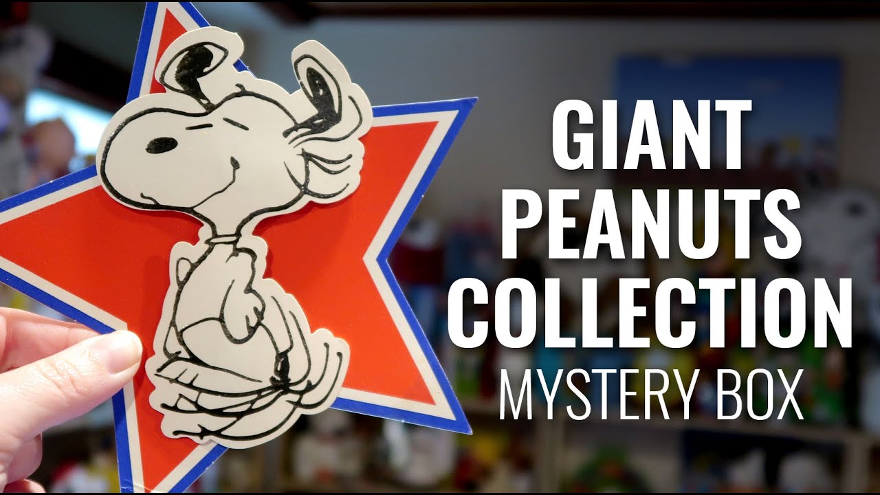 Snoopy Surprises! 1970s Peanuts Gang Mystery Box | CollectPeanuts