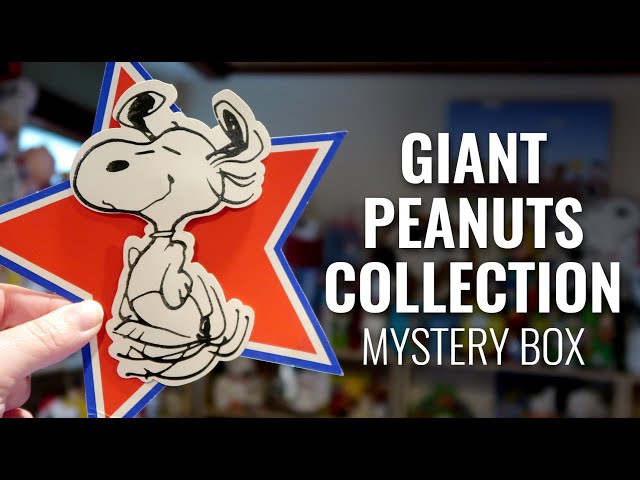 Snoopy Surprises! 1970s Peanuts Gang Mystery Box | CollectPeanuts