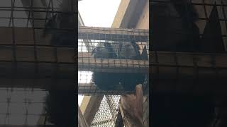 IMG 3627