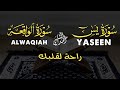 سورة يس والواقعة تلاوة هادئة بصوت القارئ أحمد الشلبي Surah Yasin Alwaqeah By Ahmad Al Shalabi