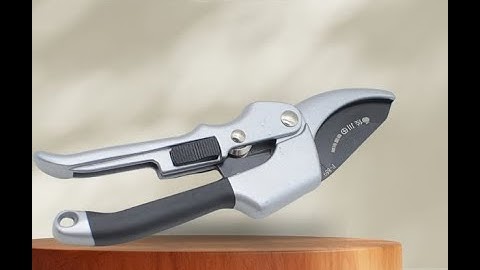 Kéo cắt cành to lưỡi trượt l Dụng cụ làm vườn l Giải pháp nông nghiệp