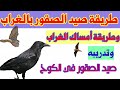 طريقة صيد الغراب وتدريبه في الكوخ لصيد الصقور Crow Hunting And Training 