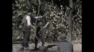 These Are My People (Part I)   Columbia Gas System Service Corporation    Internet Archive.mp4