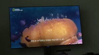 Worlds Deadliest Animals Asia Pacific