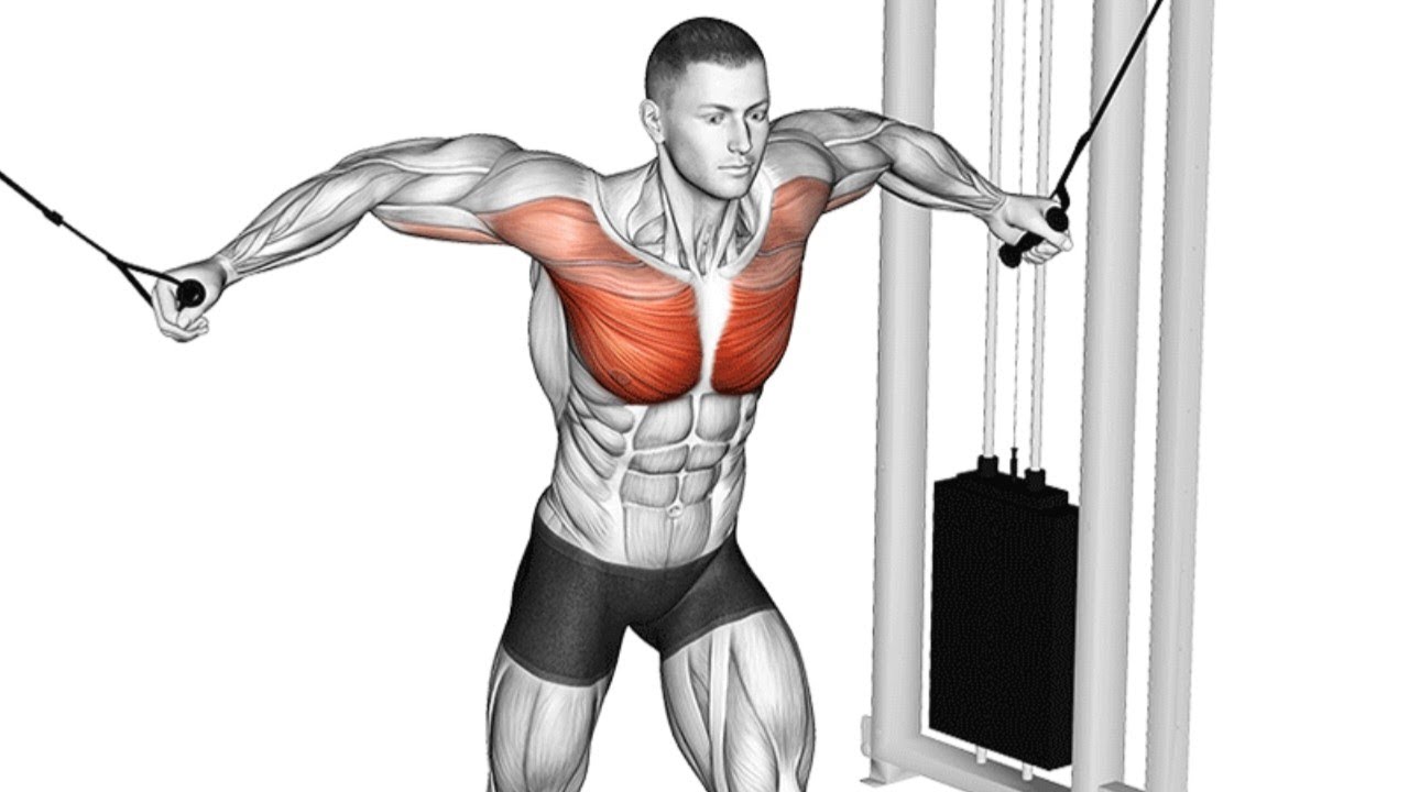 Cable Chest Workout Workout Animation chestworkout chestday YouTube