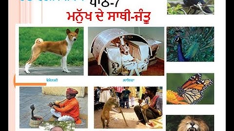 Class-5th   Lesson-7   ਮਨੁੱਖ ਦੇ ਸਾਥੀ - ਜੰਤੂ   (Manukh de Sathi - Jantu )