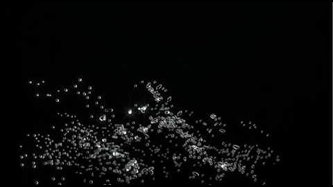 Signature Animation 2