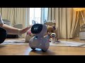 Chilling with the robots