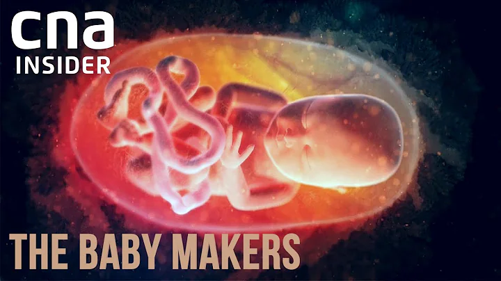 The Future Of Fertility Science | The Baby Makers - Part 2/2 | CNA Documentary - DayDayNews