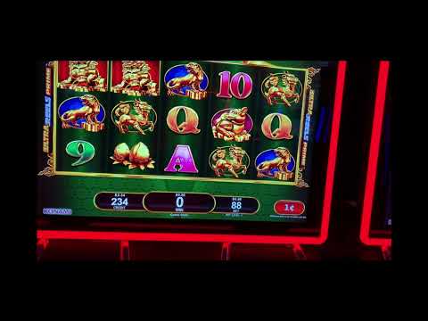 Ruleta Online - Relámpago Bola Rápida | Luckia
