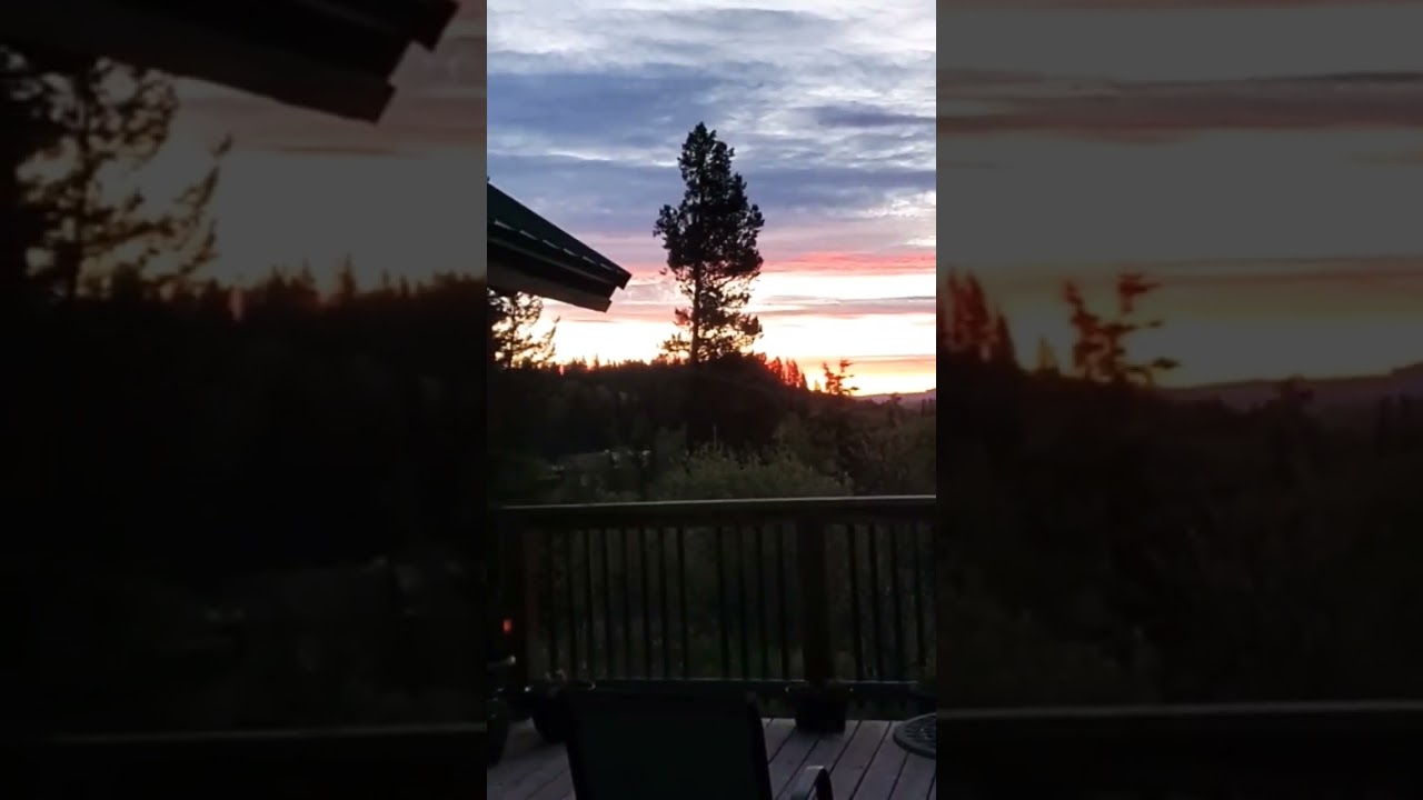 The peace of morning birdsong at the cabin. 