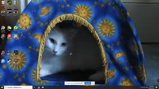 screen recorder Tu mar 03 2020 17 05 00