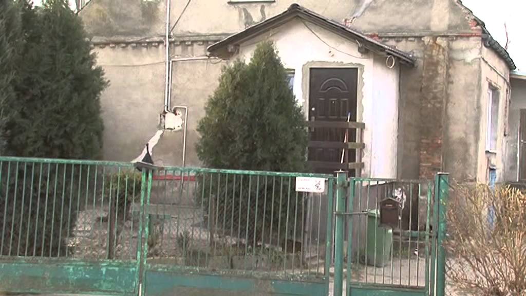 Dwa zabójstwa w jeden weekend camera iphone 8 plus apk