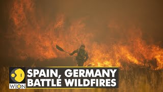 Spain, Germany battle wildfires as Europe swelters in unusual heatwave | World English News | WION