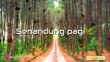 SENANDUNG PAGI | PUISI TERBAPER TERBAIK | TERBARU 2020 😘😘