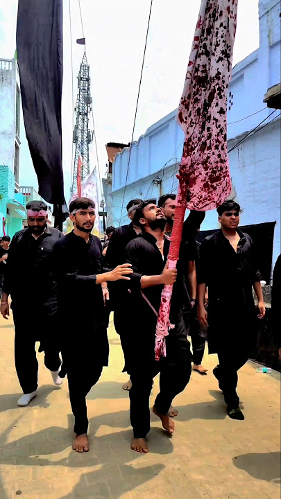 Alam Mola Abbas as._Status _Maula Abbas As_Nadeem Sarwar #viral #shortvideo #karbala #iraq