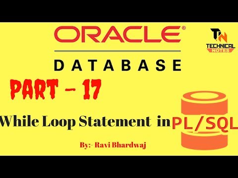 While Loop in