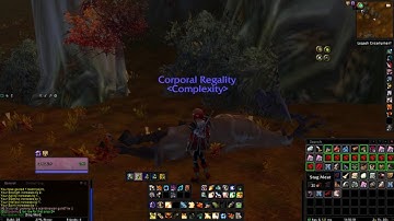 Turtle WoW Classic [Ep.17] Level 51 Paladin High Elf what not to do leveling guide.