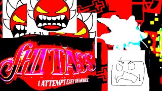 The THF Experience™