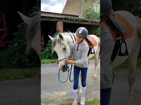 Vidéo: Sécurité des enfants avec des chevaux et des poneys