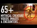 65 mythical creature encounterss  photographs  huge mythological creatures compilation