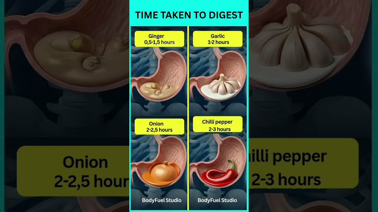 How Long Do Ginger, Garlic, Onion & Chilli Pepper Take to Digest?