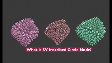 LIVENODING X Inscribed Circle First Look