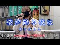 透明感溢れる声がたまらなく心地良い‼︎ 桜が降る夜は/あいみょん covered by《一華ひかり》 @ichikahikari