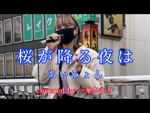 透明感溢れる声がたまらなく心地良い‼︎ 桜が降る夜は/あいみょん covered by《一華ひかり》 @ichikahikari