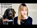 Gallop passed away and I’m ready to talk about it… (warning, very emotional!)